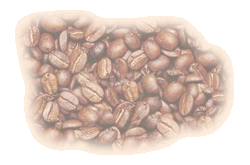 Kaffeebohnen